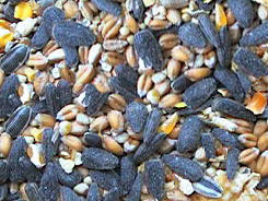 Bird Food Mixes - Original Bird Mix