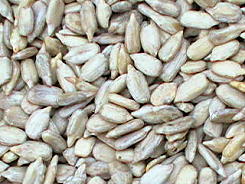 Wild Bird Feeds - Straights - Premium Sunflower Hearts