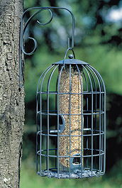 Feeders - Seed Feeders - Nuttery Original Seed Feeder and Bracket