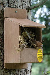 Accessories - Nest Boxes - Open Fronted Nesting Box