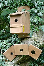 Accessories - Nest Boxes - Multi Bird Nesting Box