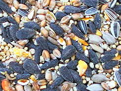 Wild Bird Feeds - The Premium Range - Original Bird Mix