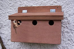 Accessories - Nest Boxes - Sparrow Terrace