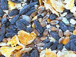 Wild Bird Feeds - The Premium Range - Big Bird Mix